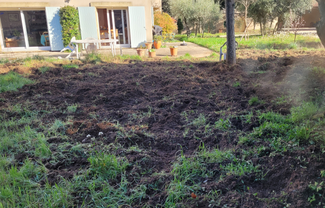 Dégâts de sangliers sur une terrasse de jardin