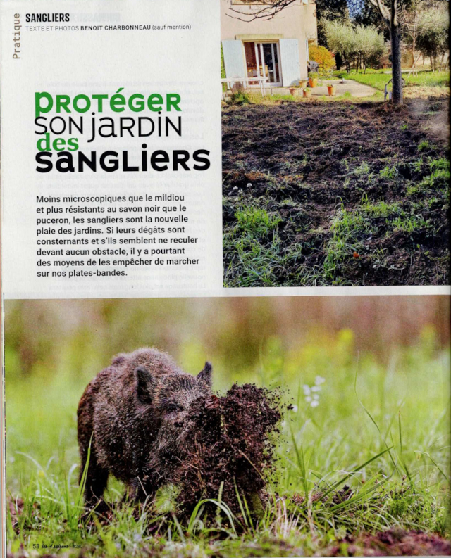Première page de l'article Protéger son jardin des sangliers, texte et photos Benoît Charbonneau